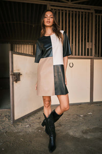 Julia Colorblock Faux Leather Dress