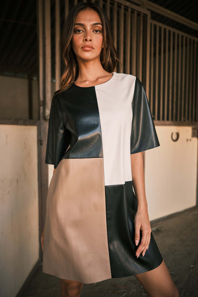 Julia Colorblock Faux Leather Dress