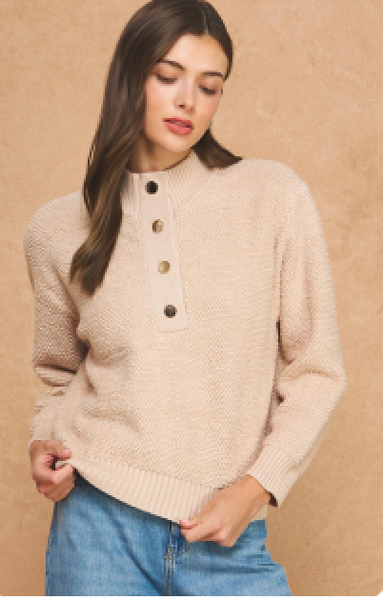 Eloise Half Button Up Sweater